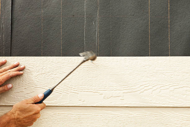 Best Vinyl Siding Installation  in Navarre Beach, FL